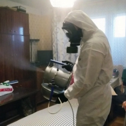 Дезинфекция от клопов в Палласовке