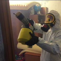 Уничтожение клопов в квартире. Палласовка